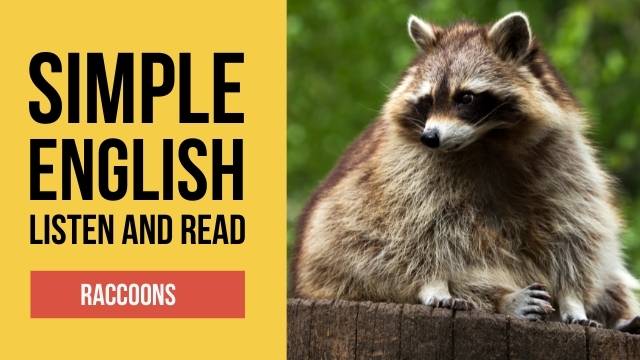 легкий текст на английском про животных