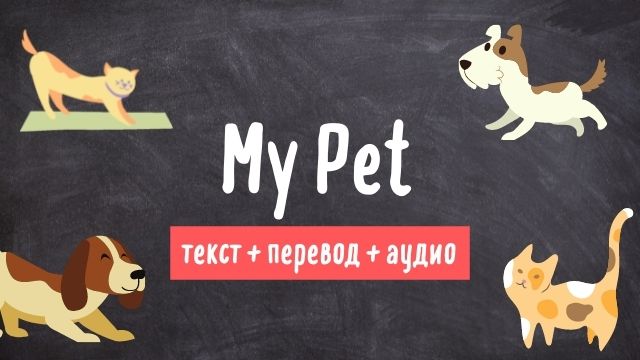 my pet текст на английском языке