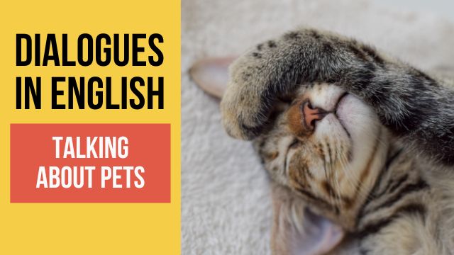 диалоги о домашних животных на английском с переводом и аудио 