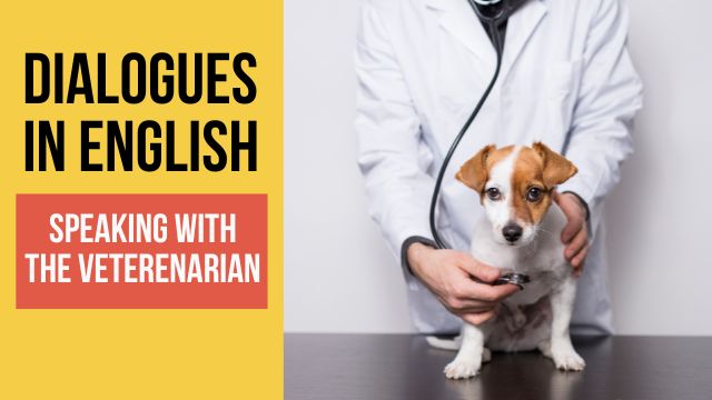 диалог с ветеринаром на английском языке с переводом и аудио 