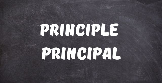principle principal разница 