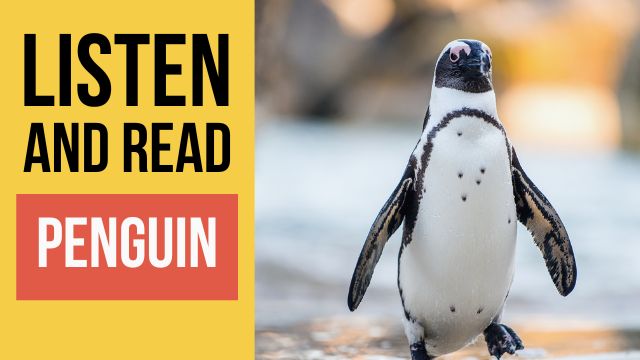пингвин текст на английском с переводом и аудио 