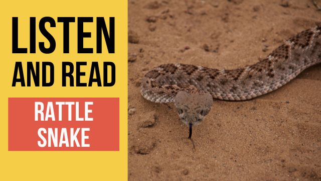 гремучая змея текст на английском языке с переводом и аудио 
