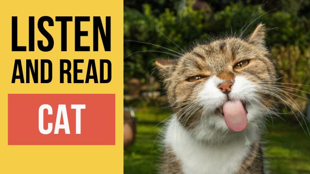 кошка текст на английском языке с переводом и аудио 